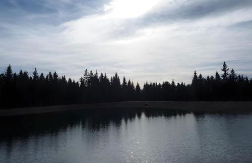 Ferienwohnung Bergahorn - Foto 21