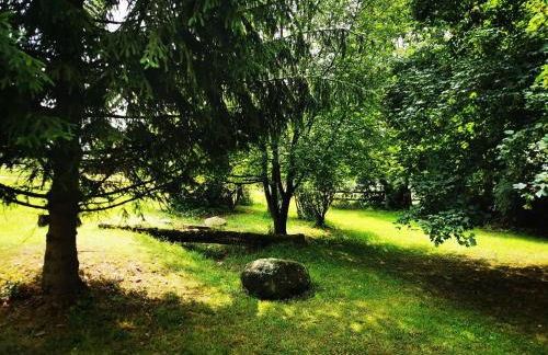 Landhäuschen Welschneudorf Naturnah - Foto 14