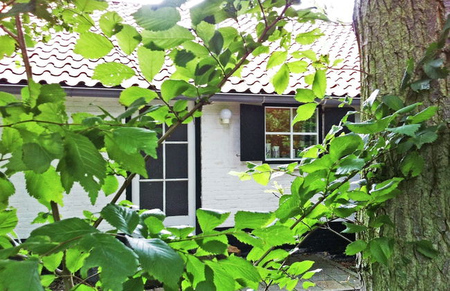 Holiday Home in Koudekerke Near Beach - Foto 20