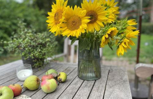 Wassermühle Triglitz - Alleinlage für Retreats, Workshops, Family & Friends - Foto 68