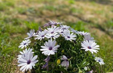 Agriturismo Tenuta la Monaca - Foto 50