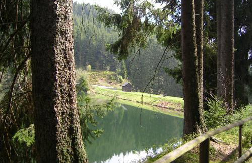 Ferienwohnung im Harz-Haus-Bruns - Foto 42