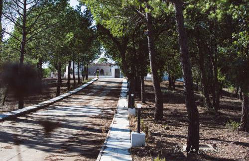 Finca Caprichosa - Foto 50