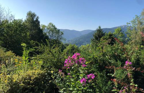 Chalet Braunkopf ALSACE - Foto 34