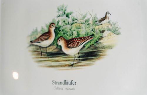 Küsten Apartments Tannenhausen - Foto 33