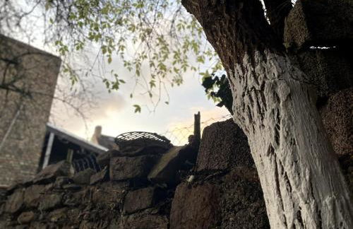 RumbleintheJungle - Foto 67