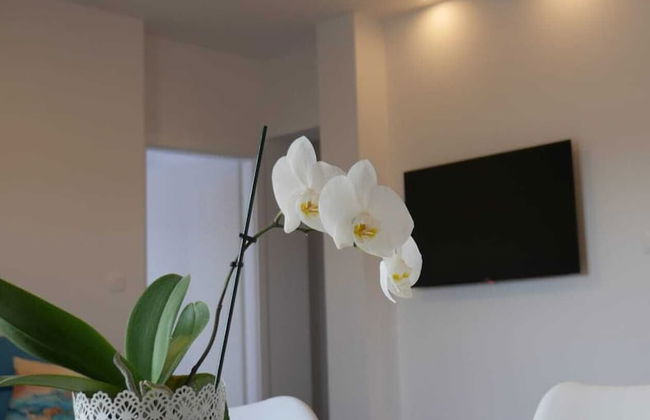 Shadesofblue M & M Sleeps 4 With Pool - Foto 23