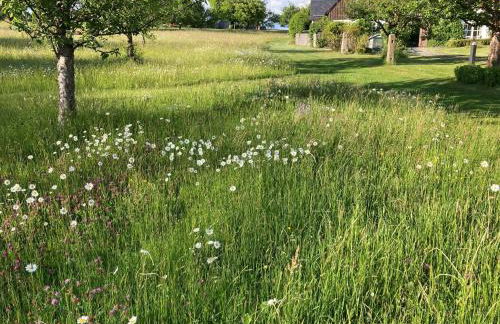 Austragshaus Almbranz - Foto 34