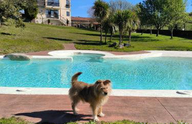 Casa da Rapadoira - Foto 4
