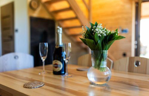 Wichrowe Wzgórze Chill House Jabłonowo - Foto 23