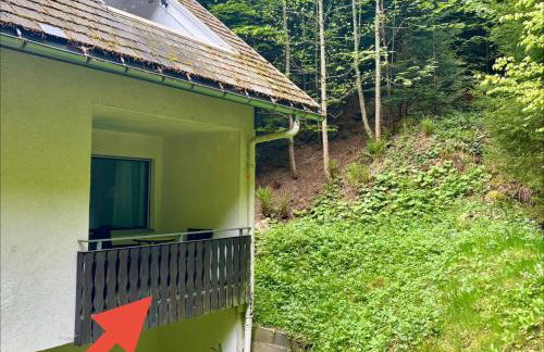 Ferienwohnung Riese - Foto 27