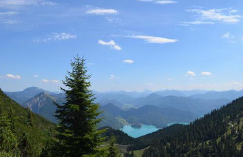 Ferienhaus Antdorfer Gartenglück - Foto 22