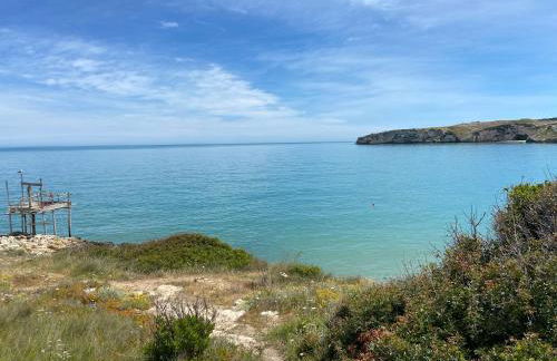 1931 Apartments - Borgo Antico - Gargano - Foto 9
