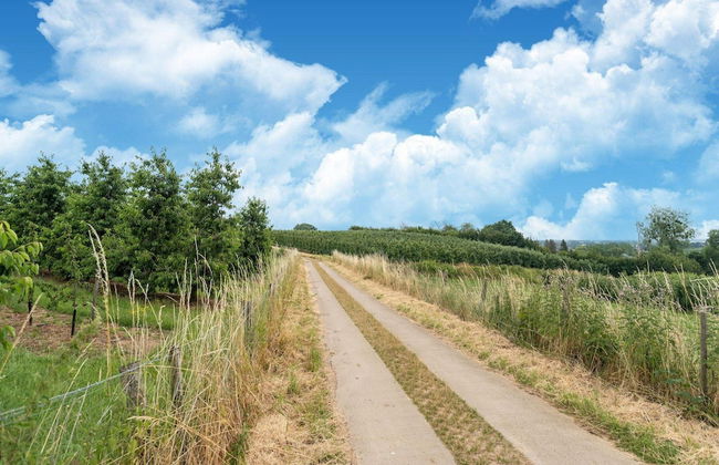 Scenic Villa in Borgloon With Garden - Foto 43