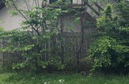 The Tree House - Photo 11