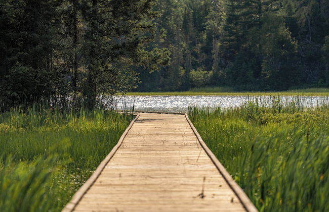 North of North Resort - Photo 26