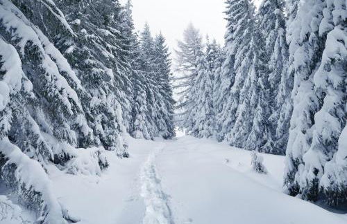 Residence Nube D'Argento - Foto 34