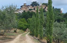 Tuscan Hills - Dimora storica in Chianti - Foto 19