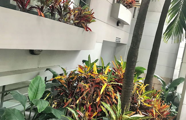 Saigon Apartments - Foto 40