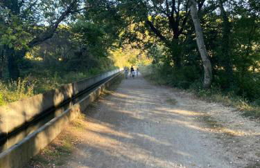 Peaceful Family Retreat In Aix-En-Provence - Foto 19