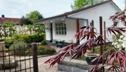 Kastanien-Cottage - Idyllischer Rückzugsort in Bohnert - Foto 4, Garden