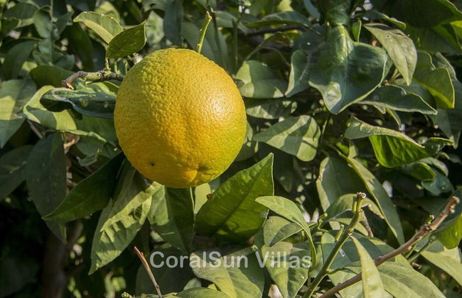 Amazing Pool, Complete Privacy, Amenities and Beach Nearby - Foto 76