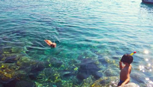 Apartmani Surjan - Foto 4