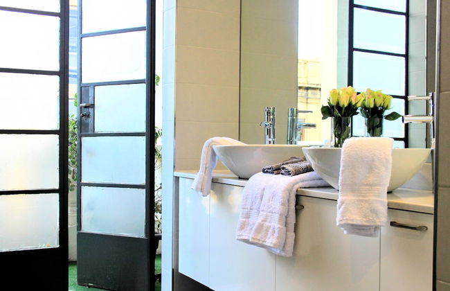 Maltese Maltese - Foto 42