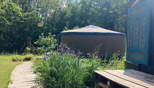 Barefoot Yurts - Photo 5, Garden view