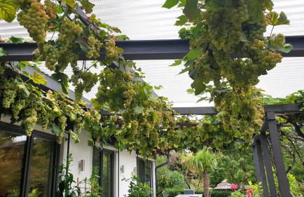 Blütenlodge Bodensee - Foto 29