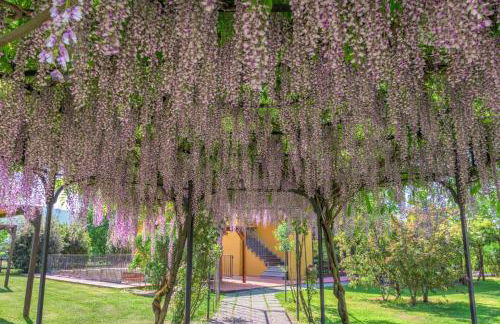 Sarzana-Charming Apartment Pool and BB - Foto 23