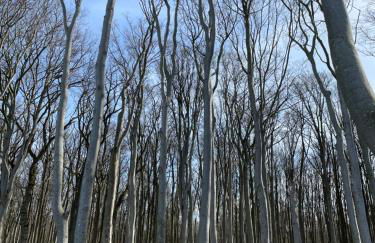 Ostseeblick - Foto 30