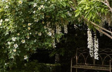 Cotswolds Escape - Foto 9