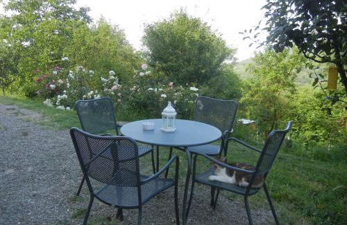 La Colombarola Agriturismo - Foto 16