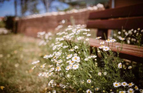 Stixenhof - Ferienwohnung Heidi Nehmeier - Foto 17