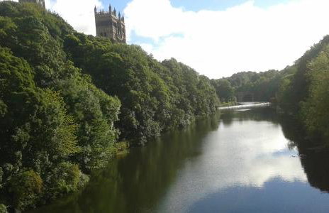 Hamsteels Hall Cottages - Foto 73