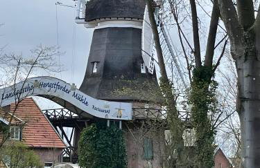 Uhlenhoff Boyken - Photo 20