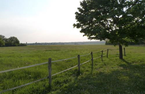 Country house for animals and nature lovers - Photo 9