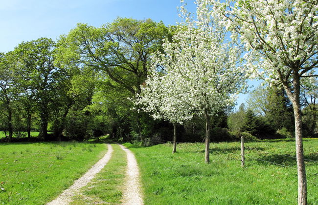 La Bergerie - Foto 10