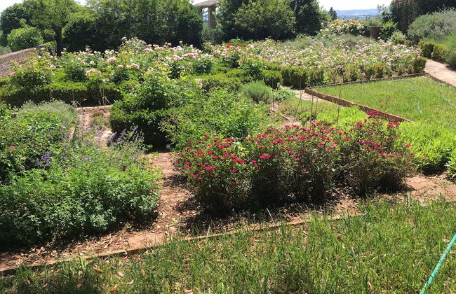 Ca' Bianca Tuscany Relais - Foto 39