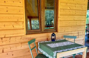 Leśne zacisze nad Narwią - Foto 37