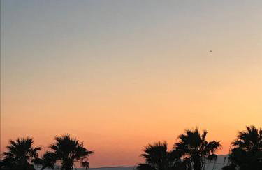 Palm Tree Beach Villa - Photo 13