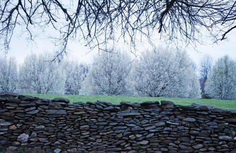 Villa Maud - Foto 27