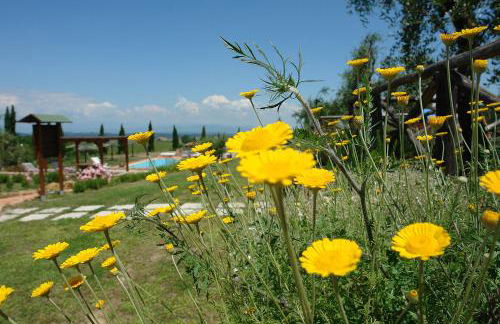 Piè di Costa - Foto 24