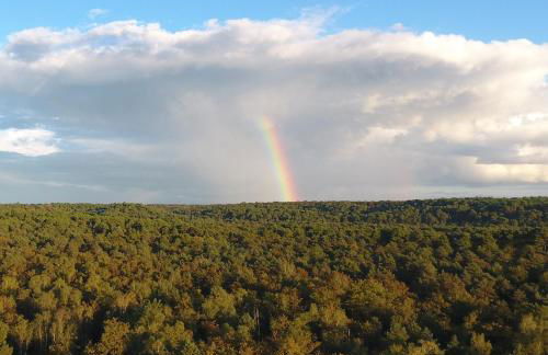 Millygite roulotte - 4 seasons Chalet-on-wheels - Foto 14