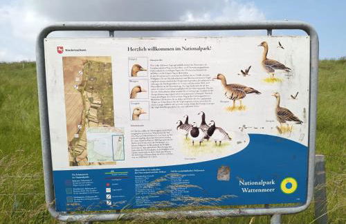 Huus van Dykster 45262 - Foto 5