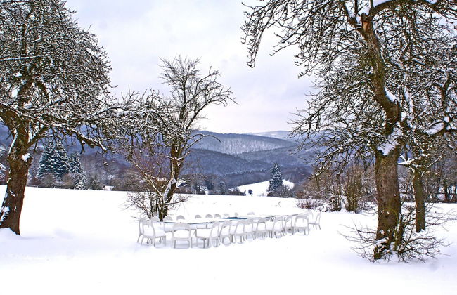 Mountain Retreat for Group - Photo 31