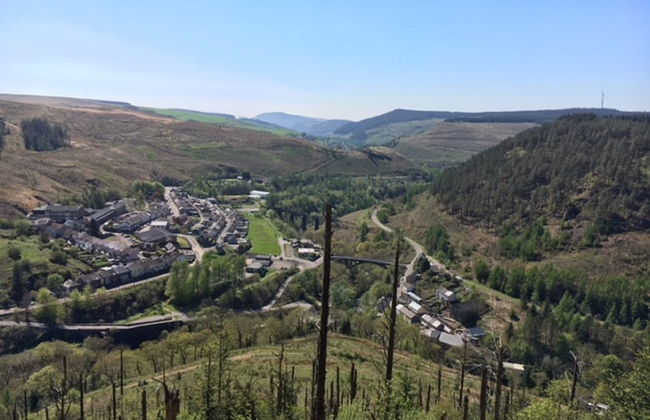 Ty Penacoed - Foto 13