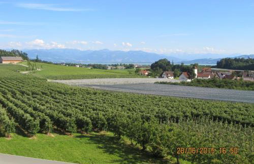 Landhaus Erben - Foto 34