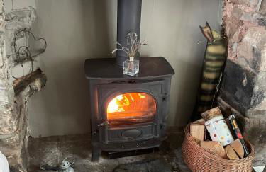 Cosy River Cottage in Brecon with a Fireplace - Photo 24
